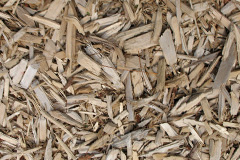 biomass boilers Drumnasoo